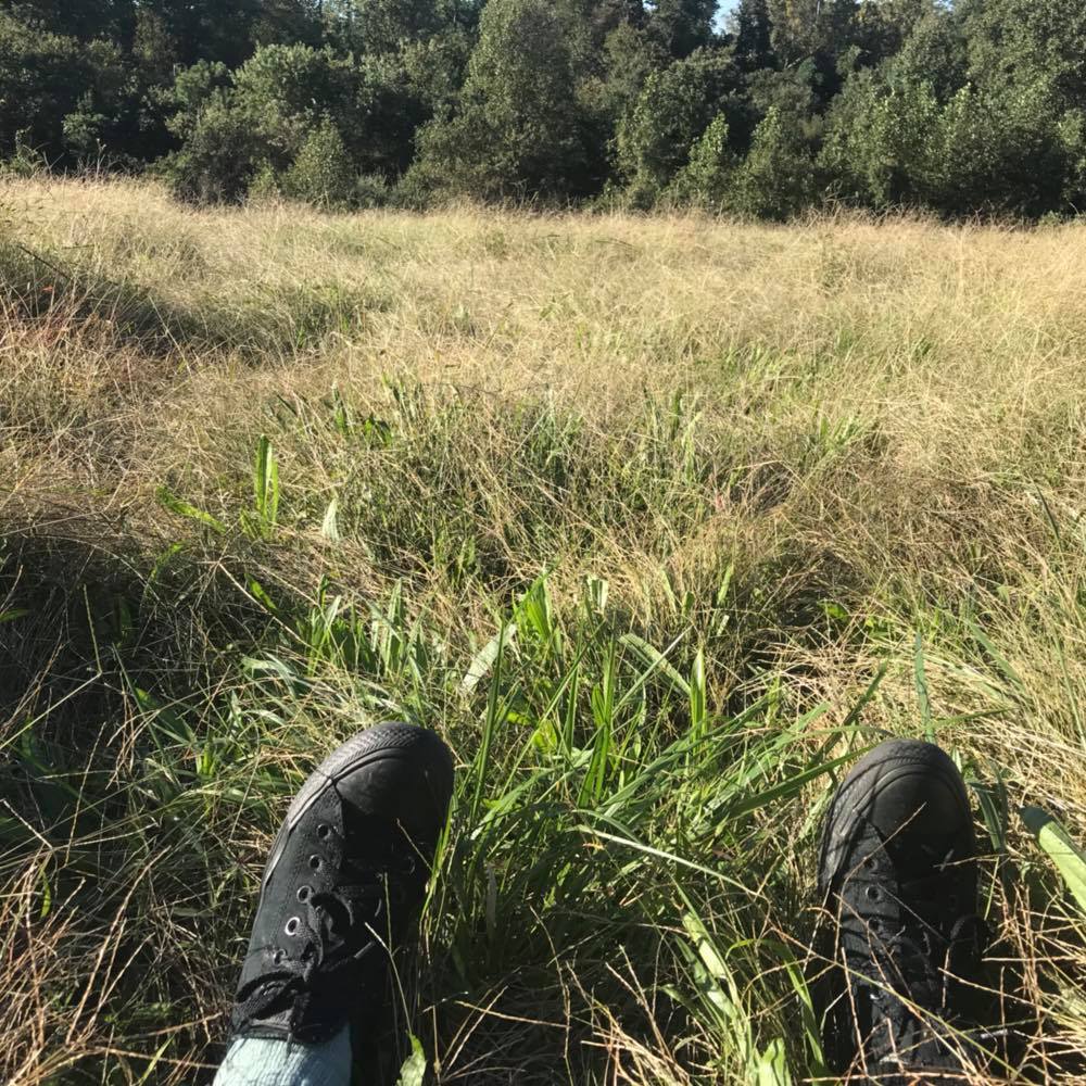 Meet your Posher, Micaela